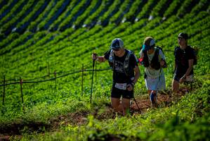 BIB: 9644
                            <button type="button" onclick="openModal(19161094)" class="btn btn-primary btn-sm float-right btn-popup" data-toggle="modal" data-target=".modal-high-quality">
                        <i class="fas fa-shopping-cart"></i> Add to Cart
                    </button>
                                            <button type="button" onclick="isThisMe(19161094, true)" class="btn btn-success btn-sm float-right btn-popup btn-isme hidden" data-toggle="tooltip" data-placement="bottom" title="นี่คือรูปของคุณใช่ไหม คลิกที่นี่เพื่อเอาเข้าอัลบั้ม">
                        <i class="fas fa-plus"></i> Add to album
                    </button>
                    <button type="button" onclick="isThisMe(19161094, false)" class="btn btn-warning btn-sm float-right btn-popup btn-isnotme hidden">
                        <i class="fas fa-ban"></i> Remove from album
                    </button>